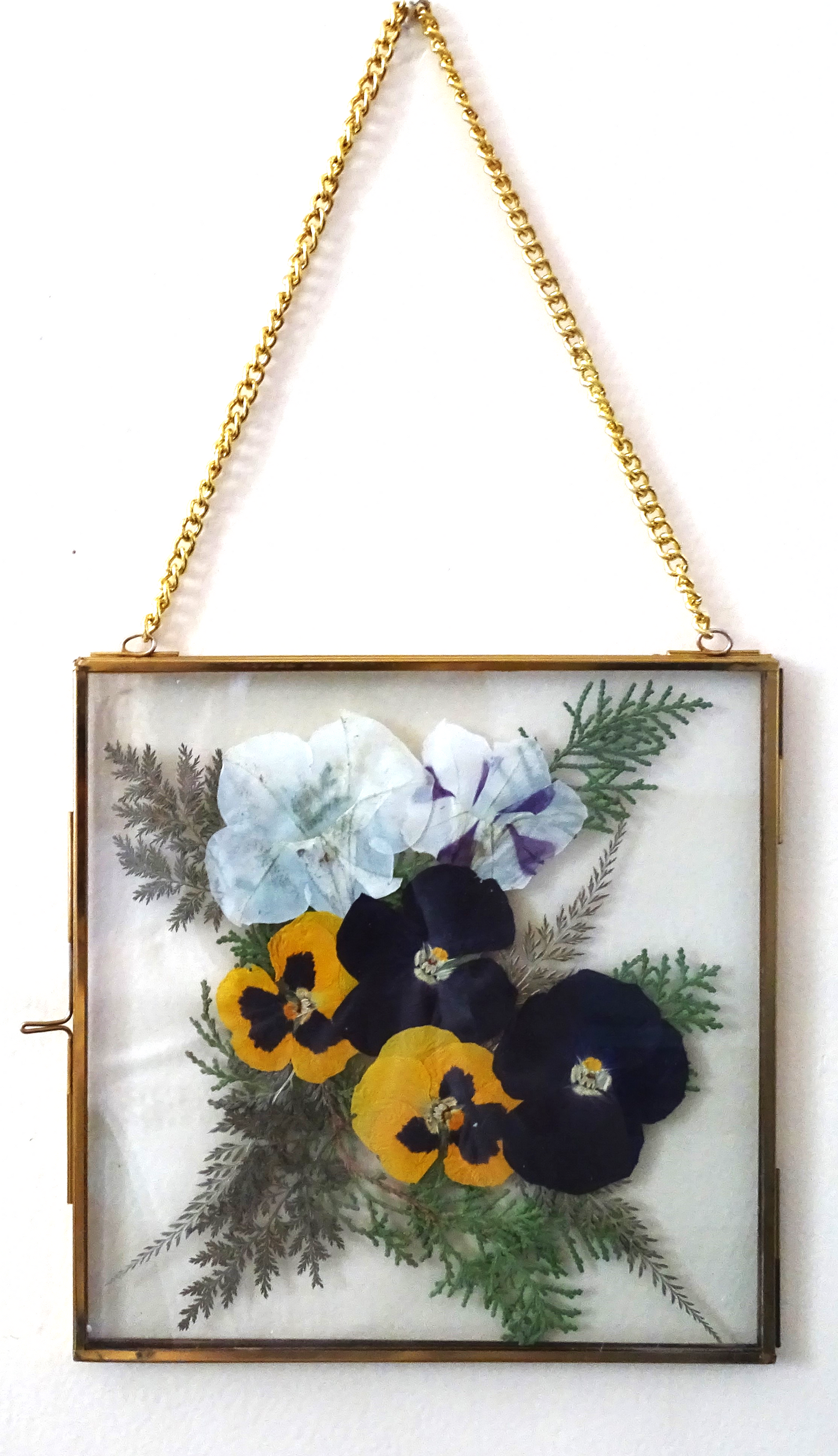 Vintage Frames with Preserved Flowers