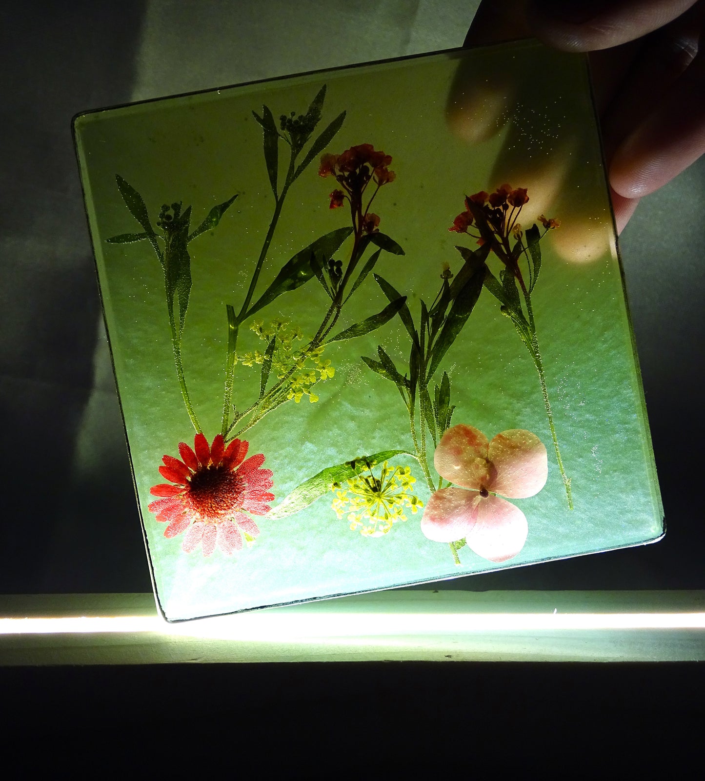 Night Lamps with Preserved Assorted Flowers