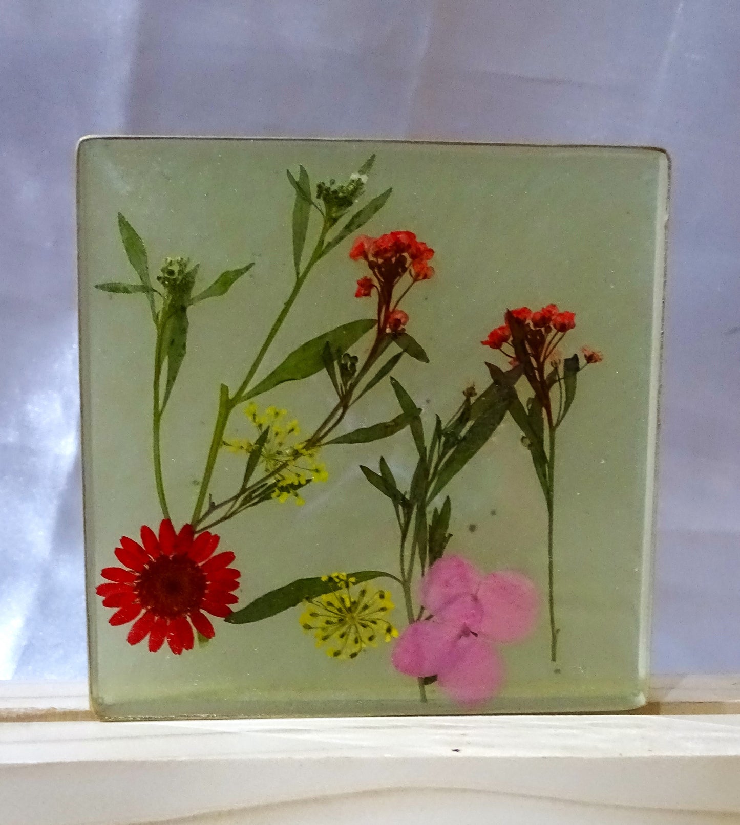 Night Lamps with Preserved Assorted Flowers